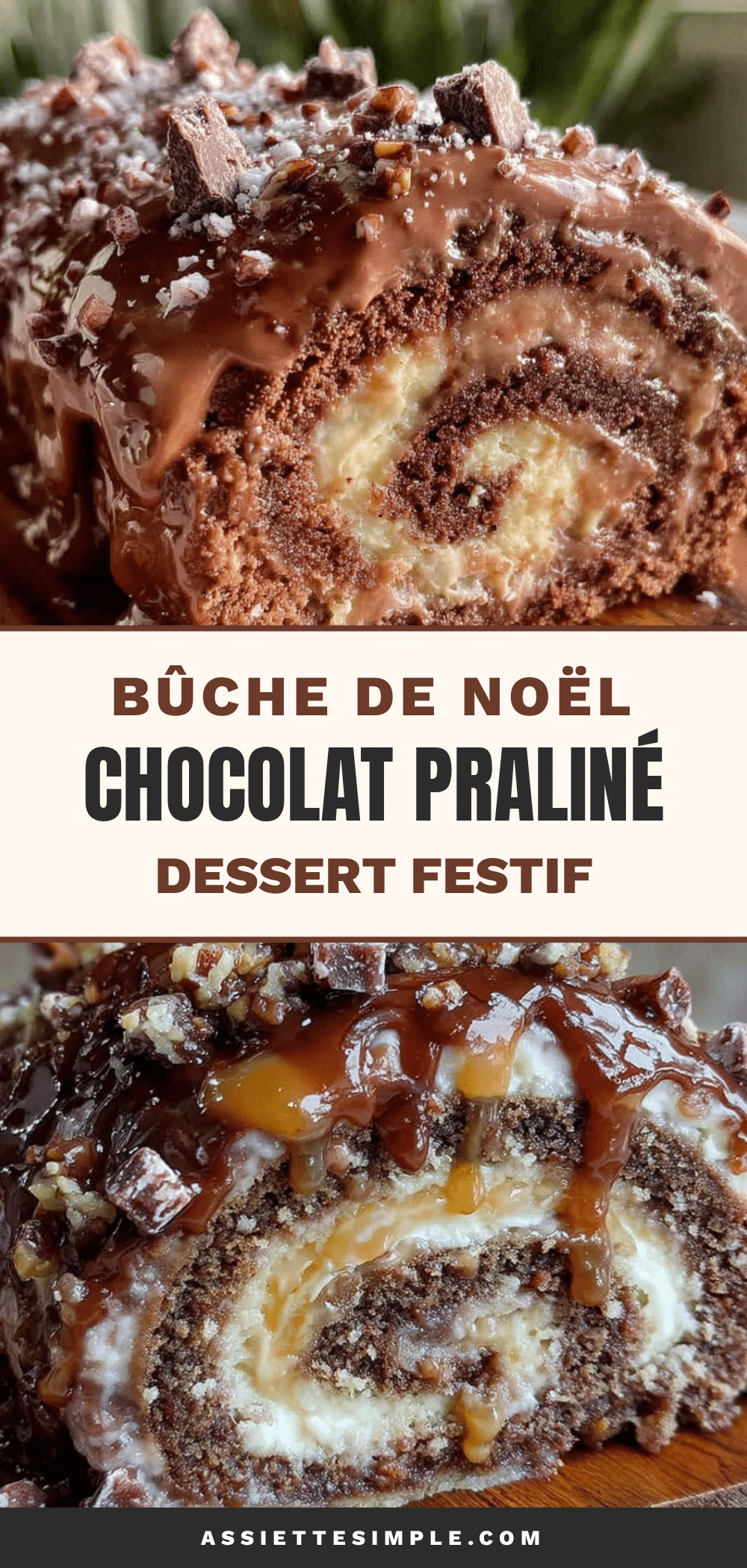 bûche de Noël au chocolat praliné recipe