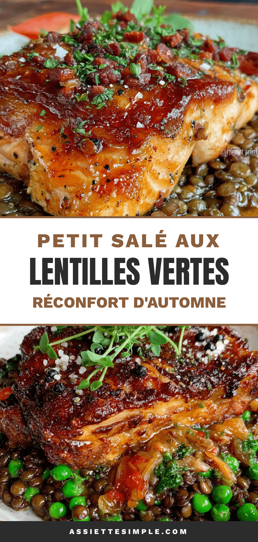 petit salé aux lentilles vertes du puy recipe